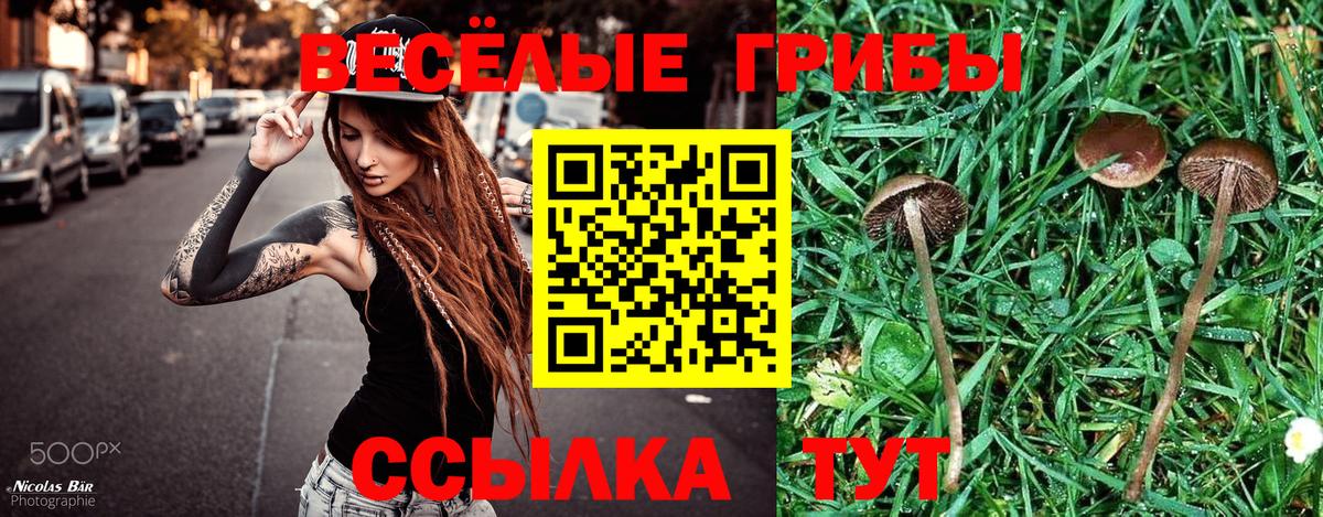 Гашиш Холмск