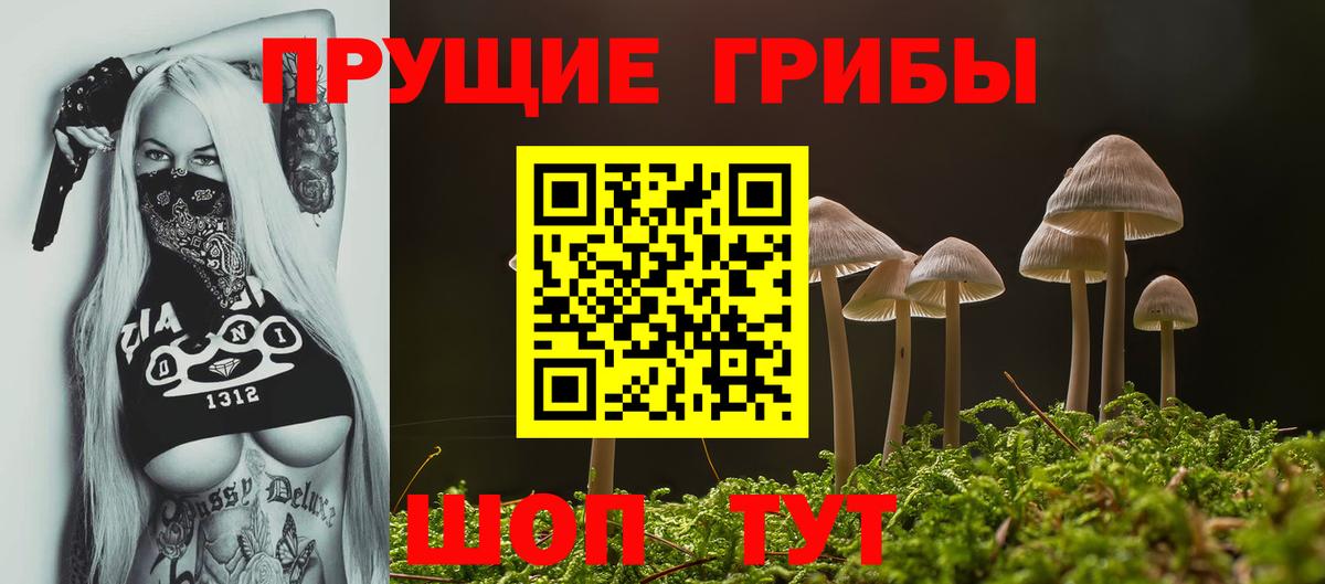 Псилоцибиновые грибы ЛСД Холмск