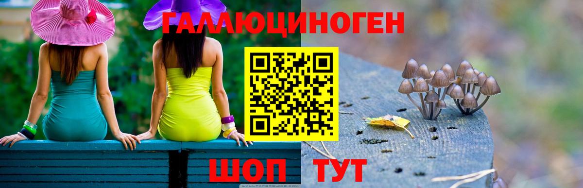 Холмск  Псилоцибиновые грибы Magic Shrooms  Вход с VPN 